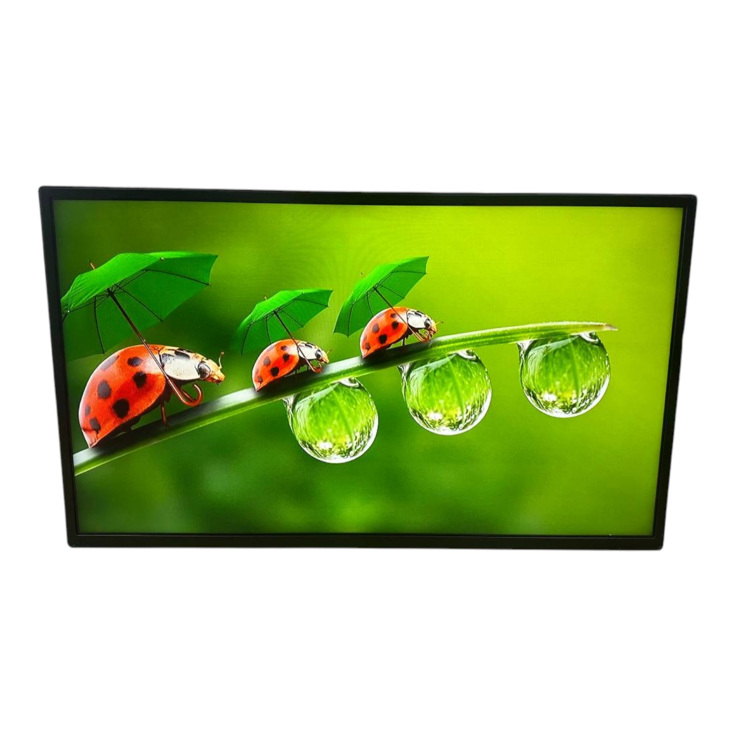 32" 1920х1080 IPS Дисплей LG 32SE3B (HDMI, DVI, VGA, RJ45, RS232C in/out, 2*USB 2.0), VESA 200x200 00-00018816